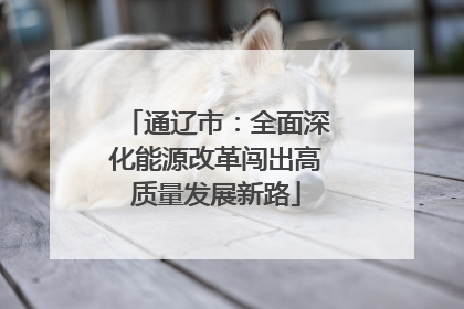 通辽市：全面深化能源改革闯出高质量发展新路