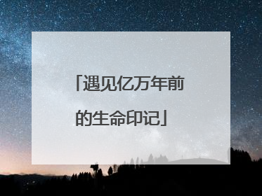 遇见亿万年前的生命印记