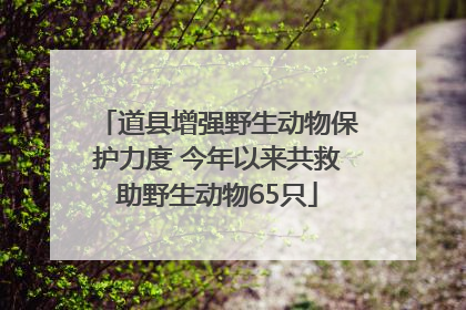 道县增强野生动物保护力度 今年以来共救助野生动物65只