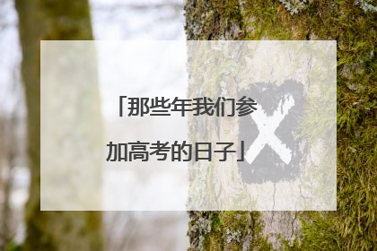 那些年我们参加高考的日子