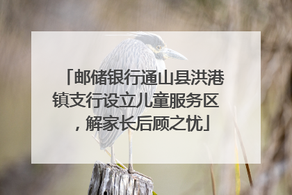 邮储银行通山县洪港镇支行设立儿童服务区，解家长后顾之忧