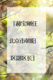郝宝刚任北京市朝阳区副区长