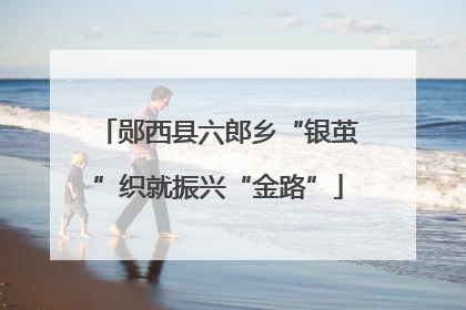 郧西县六郎乡“银茧”织就振兴“金路”
