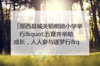 郧西县城关镇明德小学举行"五育并举助成长，人人参与逐梦行"庆六一活动