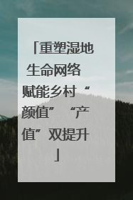 重塑湿地生命网络 赋能乡村“颜值”“产值”双提升