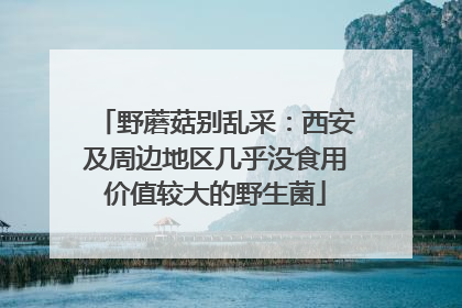 野蘑菇别乱采：西安及周边地区几乎没食用价值较大的野生菌