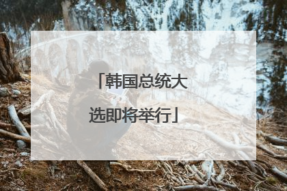 韩国总统大选即将举行