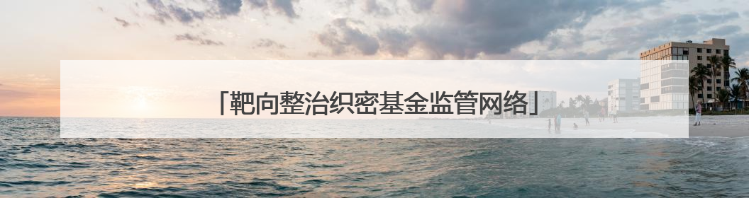 靶向整治织密基金监管网络