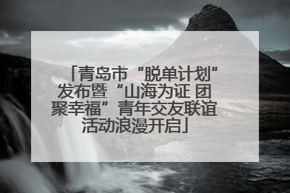 青岛市“脱单计划”发布暨“山海为证 团聚幸福”青年交友联谊活动浪漫开启