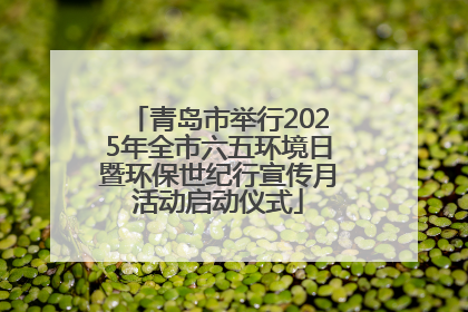 青岛市举行2025年全市六五环境日暨环保世纪行宣传月活动启动仪式