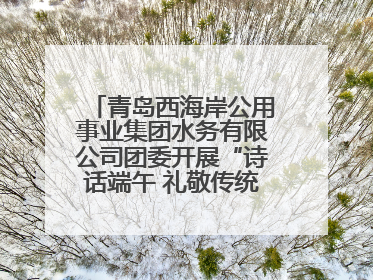 青岛西海岸公用事业集团水务有限公司团委开展“诗话端午 礼敬传统”主题活动