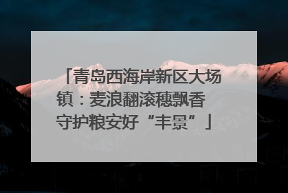 青岛西海岸新区大场镇：麦浪翻滚穗飘香 守护粮安好“丰景”