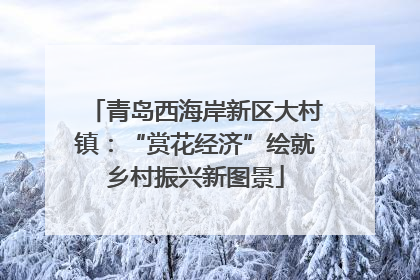 青岛西海岸新区大村镇：“赏花经济”绘就乡村振兴新图景