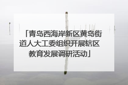青岛西海岸新区黄岛街道人大工委组织开展辖区教育发展调研活动