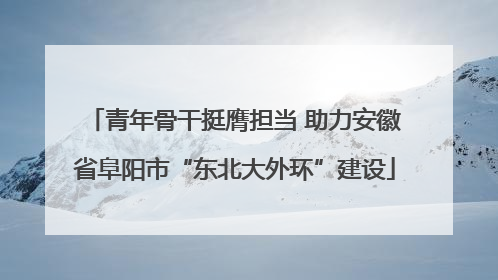 青年骨干挺膺担当 助力安徽省阜阳市“东北大外环”建设