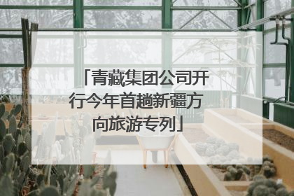 青藏集团公司开行今年首趟新疆方向旅游专列