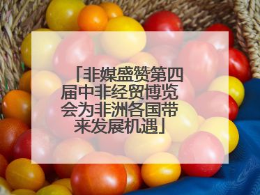 非媒盛赞第四届中非经贸博览会为非洲各国带来发展机遇