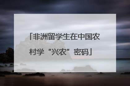 非洲留学生在中国农村学“兴农”密码