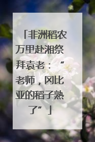 非洲稻农万里赴湘祭拜袁老：“老师，冈比亚的稻子熟了”