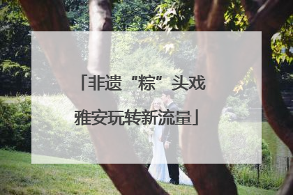 非遗“粽”头戏 雅安玩转新流量