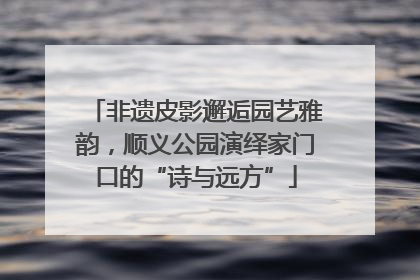 非遗皮影邂逅园艺雅韵，顺义公园演绎家门口的“诗与远方”