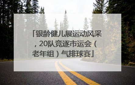 银龄健儿展运动风采，20队竞逐市运会（老年组）气排球赛