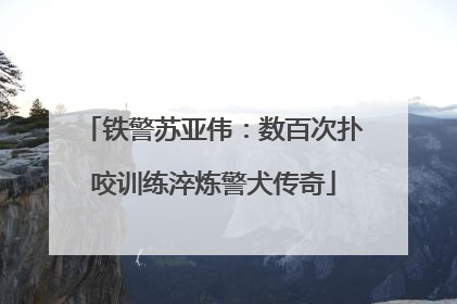 铁警苏亚伟：数百次扑咬训练淬炼警犬传奇