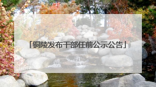 铜陵发布干部任前公示公告
