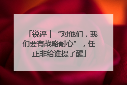 锐评｜“对他们，我们要有战略耐心”，任正非给谁提了醒
