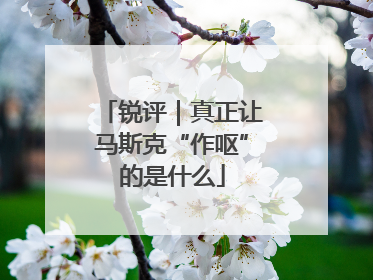 锐评｜真正让马斯克“作呕”的是什么