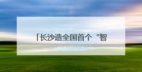 长沙造全国首个“智能押运机器人”亮相