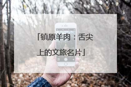 镇原羊肉：舌尖上的文旅名片