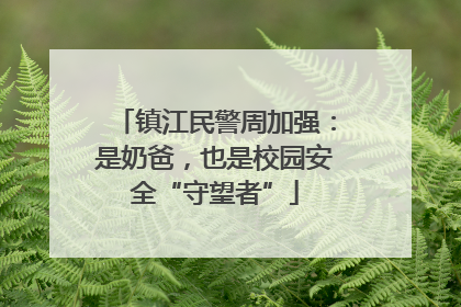 镇江民警周加强：是奶爸，也是校园安全“守望者”