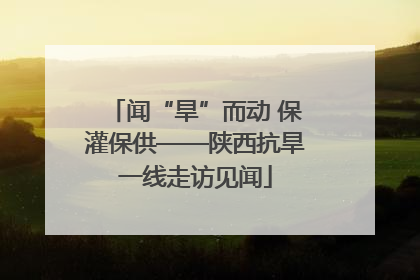 闻“旱”而动 保灌保供——陕西抗旱一线走访见闻