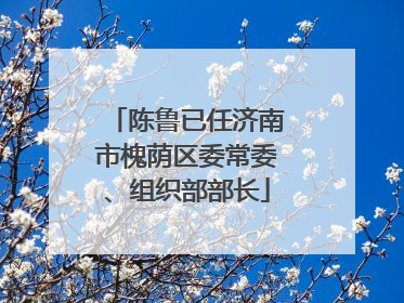 陈鲁已任济南市槐荫区委常委、组织部部长