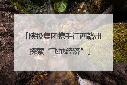 陕投集团携手江西赣州 探索“飞地经济”
