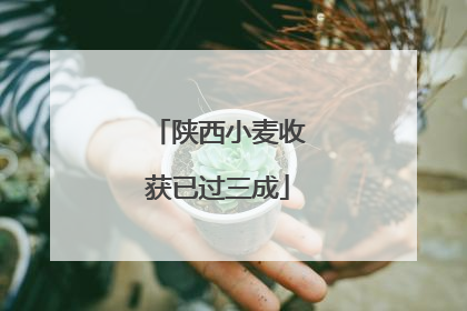 陕西小麦收获已过三成