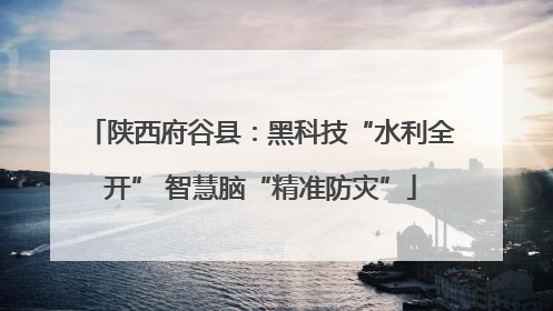 陕西府谷县：黑科技“水利全开” 智慧脑“精准防灾”
