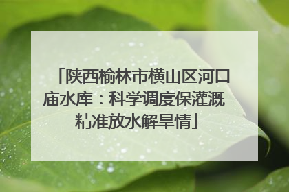陕西榆林市横山区河口庙水库：科学调度保灌溉 精准放水解旱情