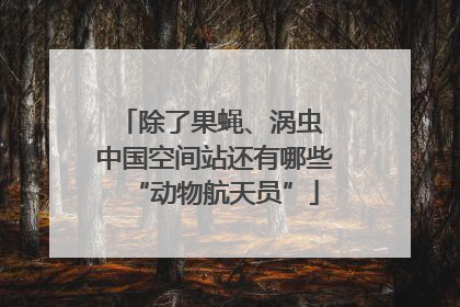 除了果蝇、涡虫 中国空间站还有哪些“动物航天员”