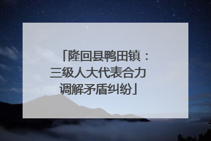 隆回县鸭田镇：三级人大代表合力调解矛盾纠纷