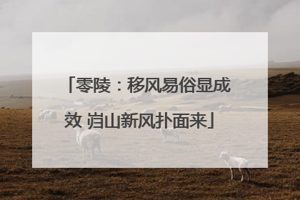 零陵：移风易俗显成效 岿山新风扑面来