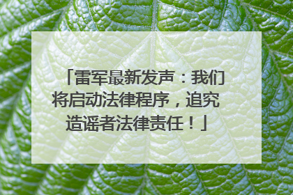 雷军最新发声：我们将启动法律程序，追究造谣者法律责任！