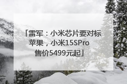雷军：小米芯片要对标苹果，小米15SPro售价5499元起