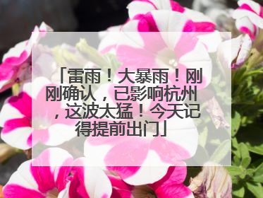 雷雨！大暴雨！刚刚确认，已影响杭州，这波太猛！今天记得提前出门