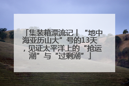 集装箱漂流记丨“地中海亚历山大”号的13天，见证太平洋上的“抢运潮”与“过剩潮”