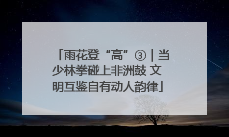 雨花登“高”③｜当少林拳碰上非洲鼓 文明互鉴自有动人韵律