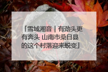 雪域湘音｜有劲头更有奔头 山南市桑日县的这个村落迎来蜕变