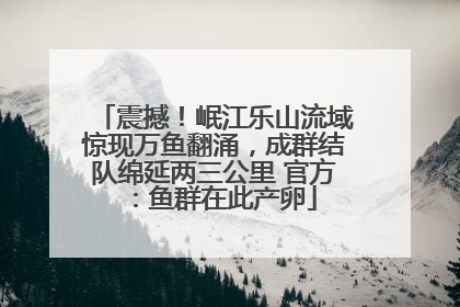 震撼！岷江乐山流域惊现万鱼翻涌，成群结队绵延两三公里 官方：鱼群在此产卵