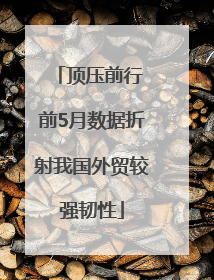 顶压前行 前5月数据折射我国外贸较强韧性